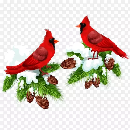 鸟北红衣主教圣诞卡片夹艺术一对鸟创意