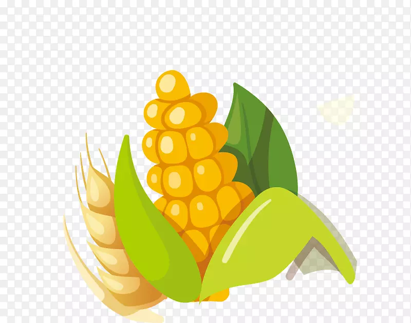 玉米粒上的玉米-玉米
