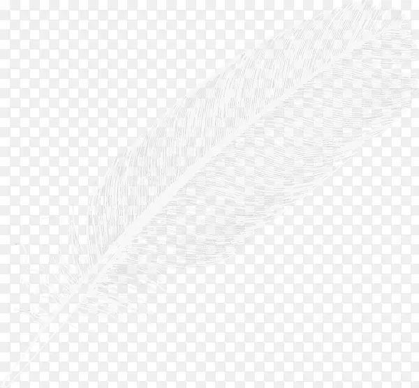 白色黑角图案-几乎透明的彩色羽毛