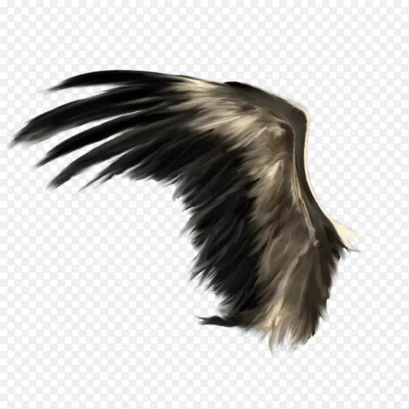 水牛翅膀图标-手绘黑色飞行翅膀