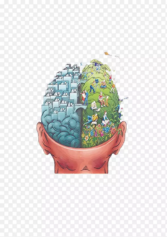 脑功能偏侧化脑半球脑标测思维脑