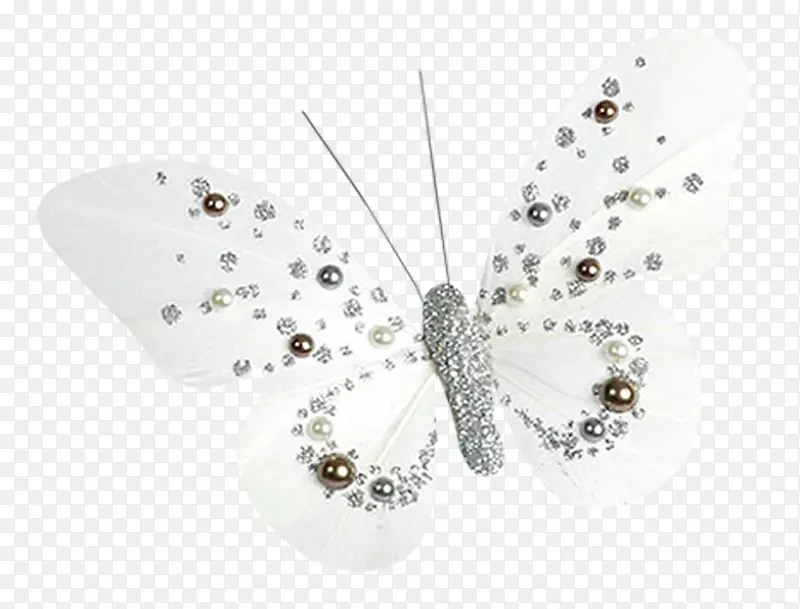 蝴蝶、蝴蝶和昆虫-白色珍珠蝴蝶