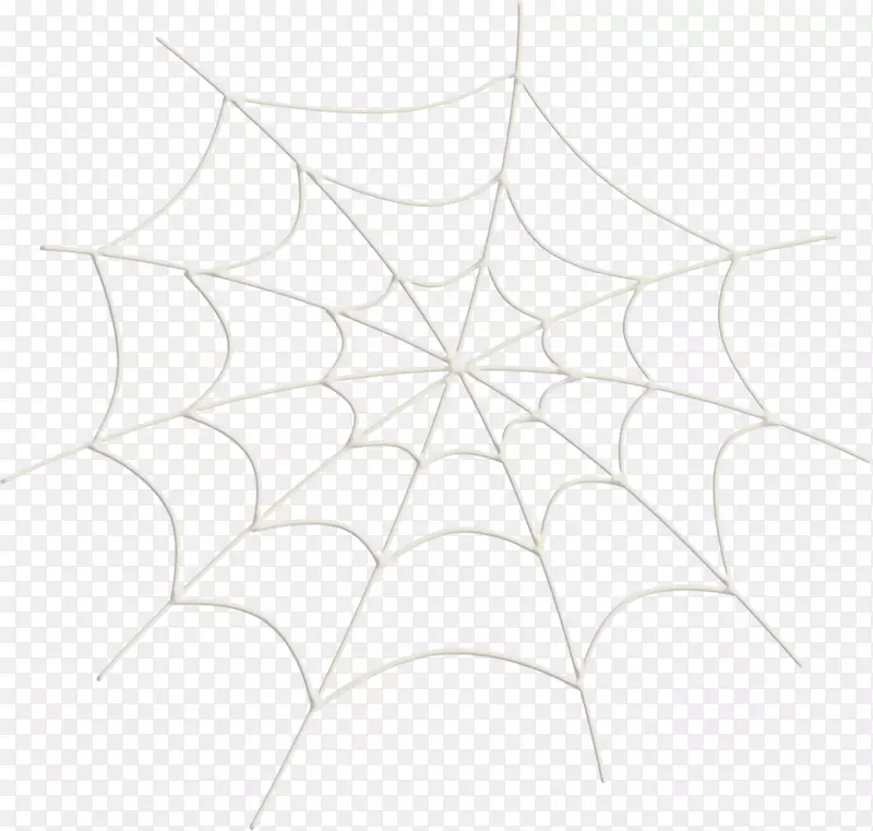白色对称结构图案蛛网蜘蛛