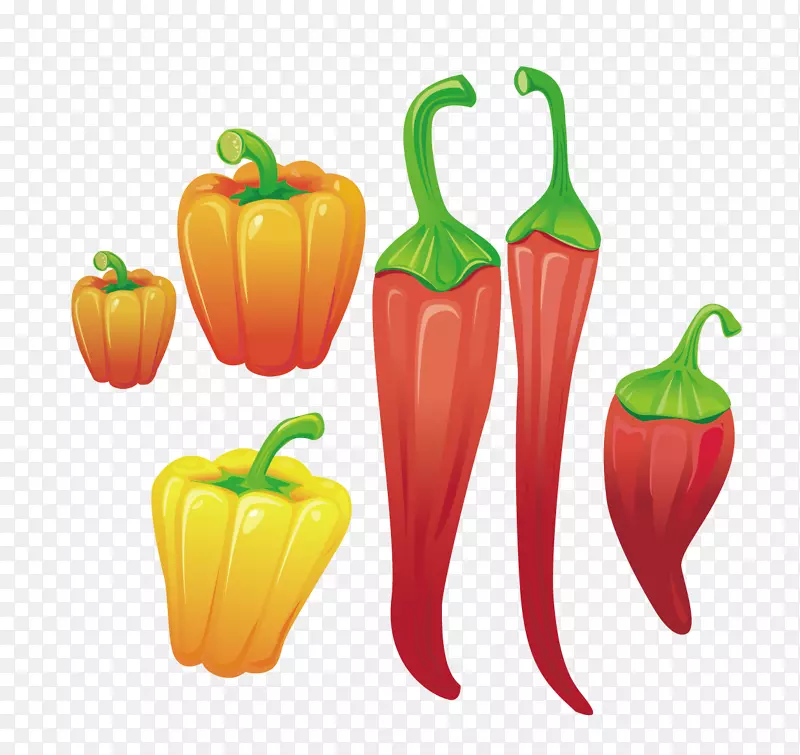 辣椒、铃椒、辣椒、果媒辣椒和红辣椒