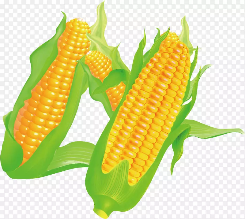 玉米上的玉米食品-玉米