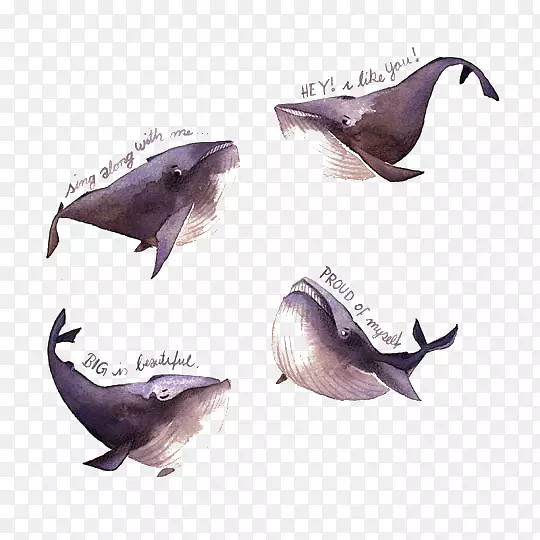 水彩画插画家伊拉维尔铅笔插图水彩画鲸鱼