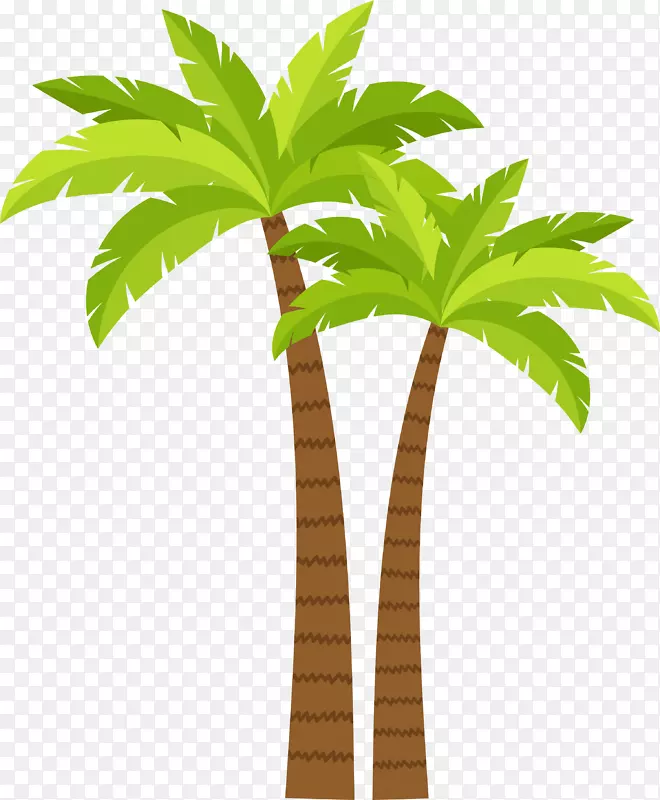 槟榔科椰子树-椰子树装饰图案