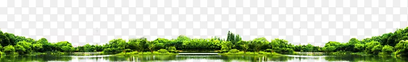 草本植物-云南大明湖