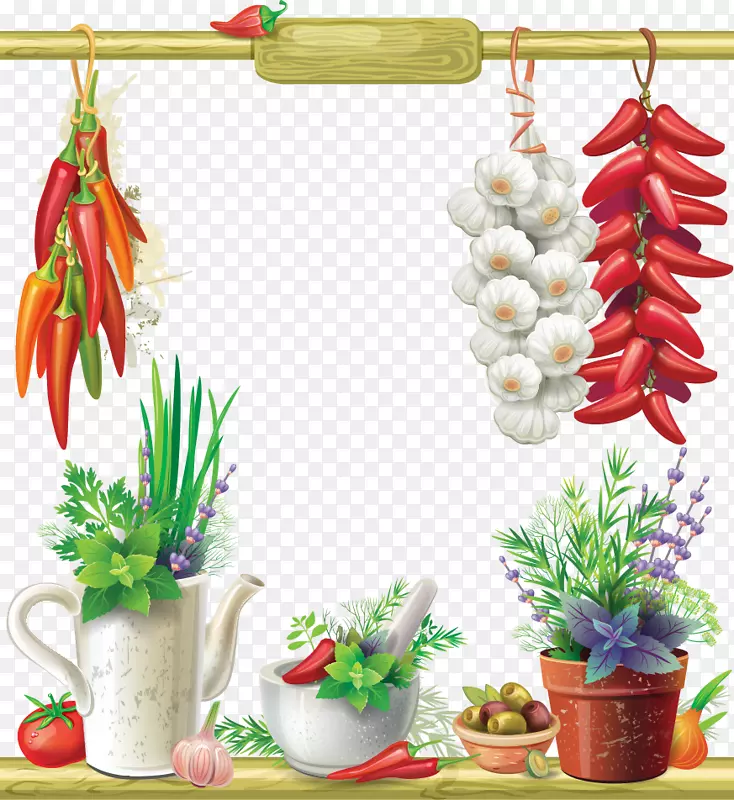 摄影插图.辣椒和大蒜植物