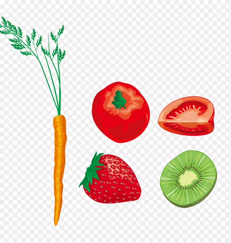 草莓食品美食学奥格利斯插图-胡萝卜