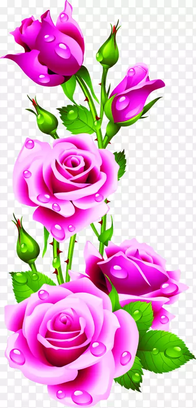 玫瑰粉色花朵剪贴艺术-水滴玫瑰花瓣