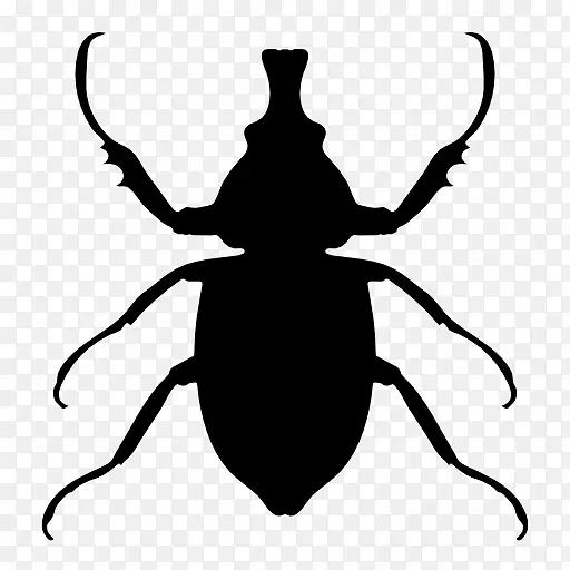 昆虫动物图标-甲虫轮廓