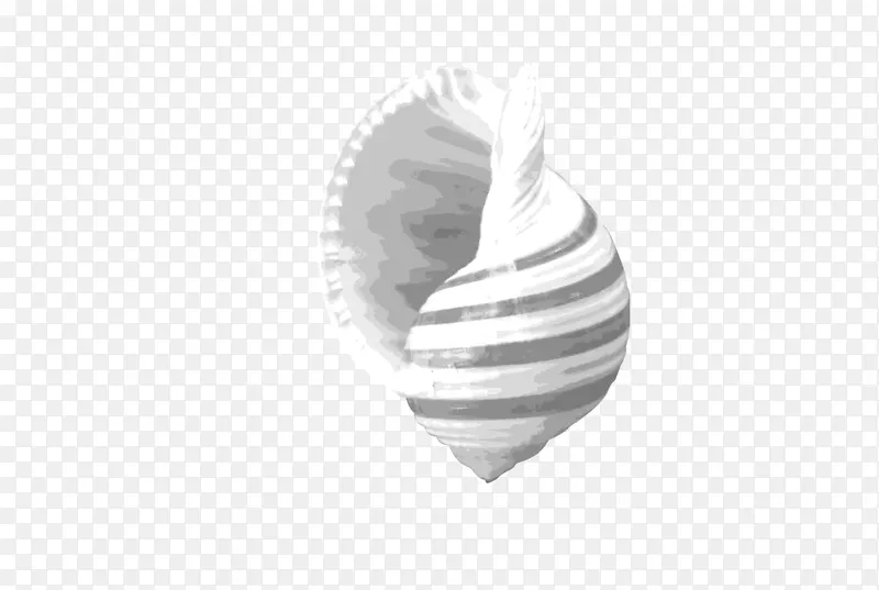 黑白图案-海螺