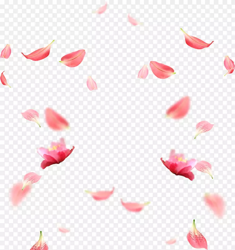 花瓣RGB颜色模型下载-樱花花瓣图片材料