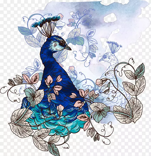 亚洲孔雀鸟羽毛画装饰孔雀