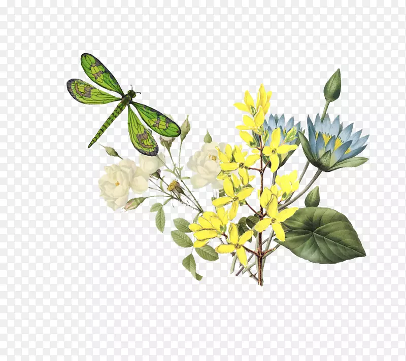 埃及荷花黄色花型花瓣图案-蜻蜓花