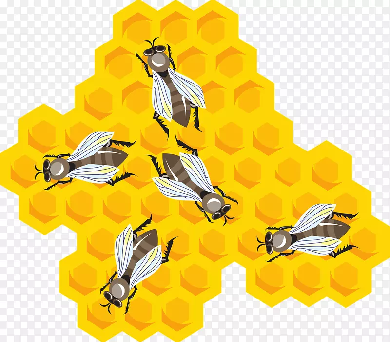 蜜蜂梳雀斑长发发型蜜蜂戴在蜂蜜上
