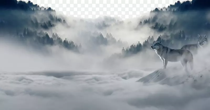 北极狼自然云天空壁纸-山谷狼