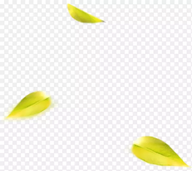 黄色壁纸.绿色单叶漂浮材料