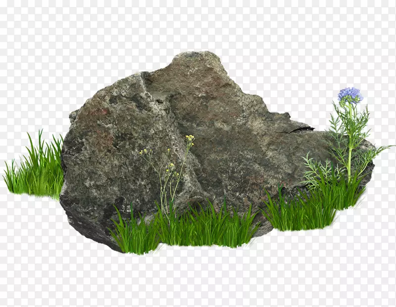 剪贴画-灌木丛中的石头
