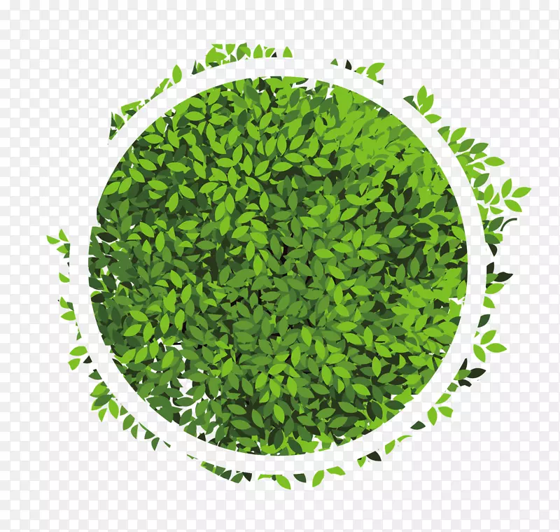 圆-绿圆叶效应元素