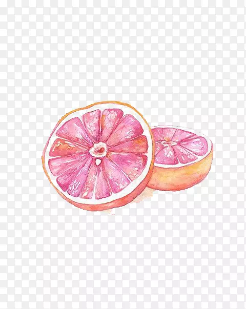 水彩画-葡萄柚