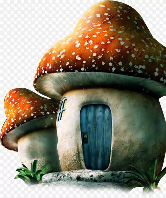 香菇蘑菇房