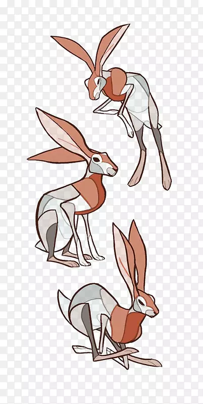 兔灰狼艺术插图-袋鼠