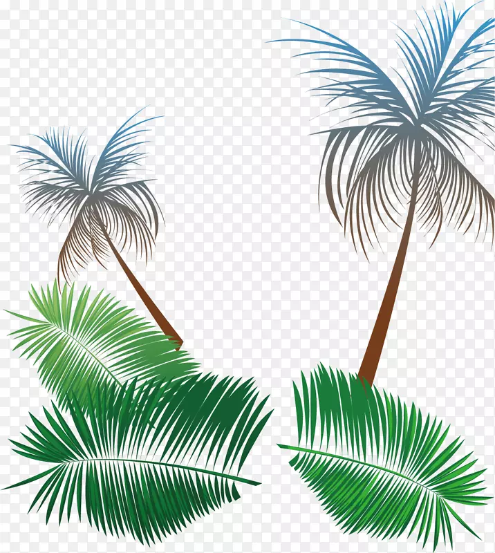 沙滩椰子树背景资料夏季推广