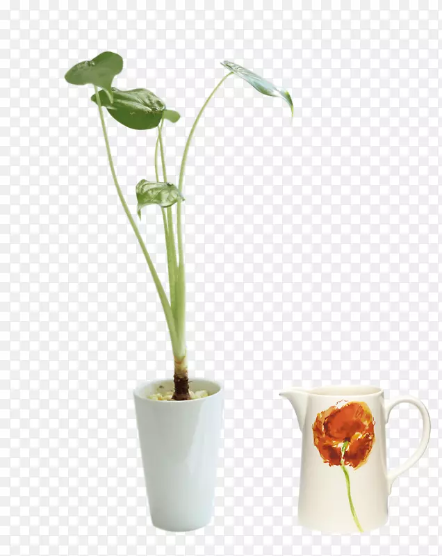 花瓶花盆-创意拉阳台盆景免费