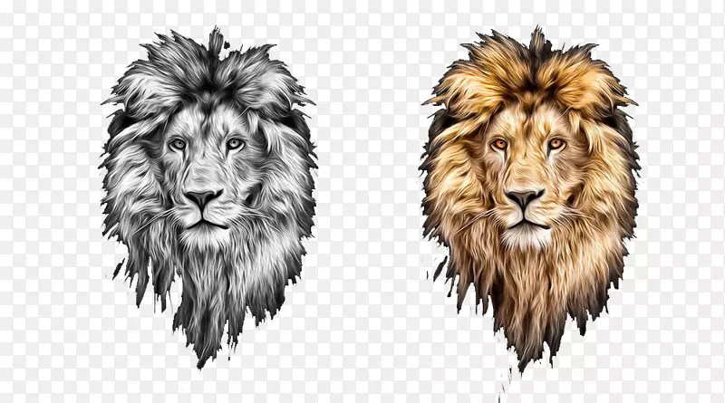 狮子头狮头兔-两只手绘狮头