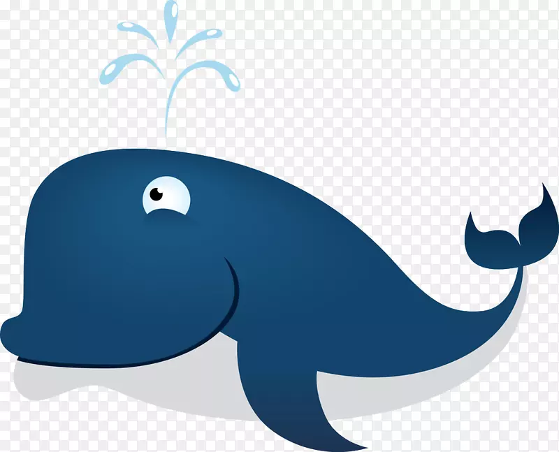 水生动物海洋生物-海豚呼气