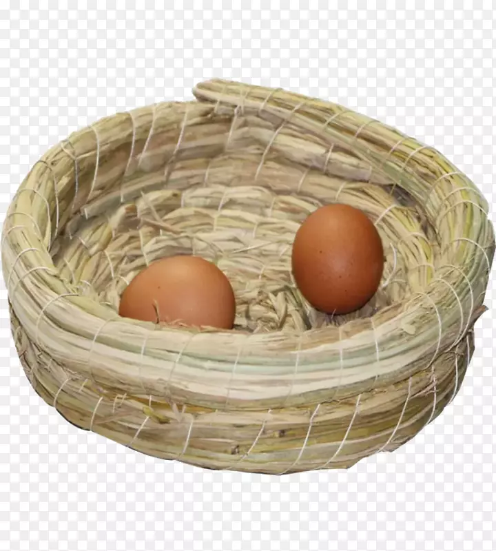 下载google图片如果(我们)图标-巢内有两个蛋