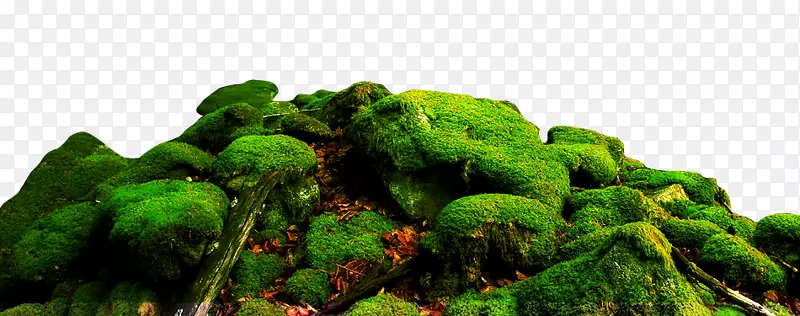 山水苔藓天然石材