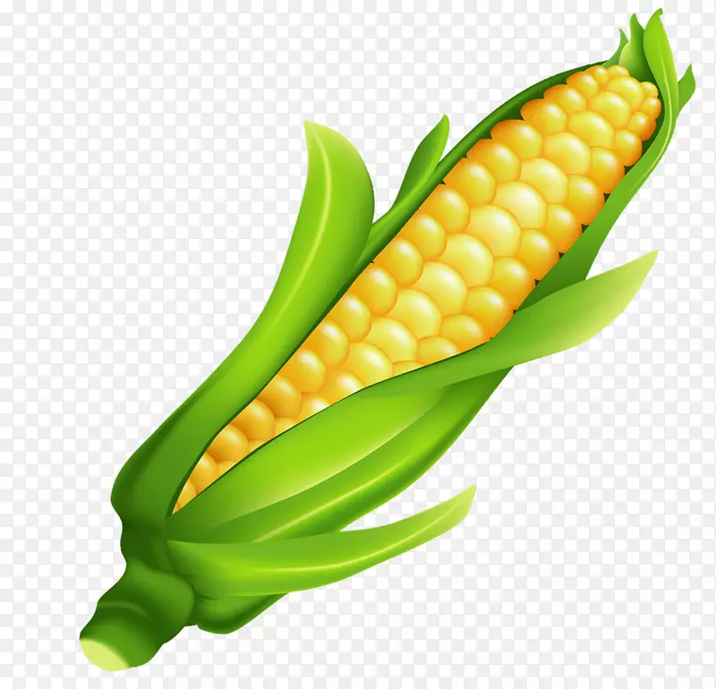 玉米上的玉米糖果玉米剪辑艺术-玉米