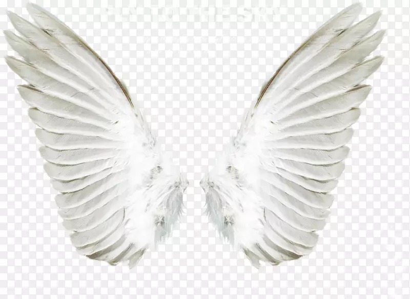 天使剪贴画-天使翅膀