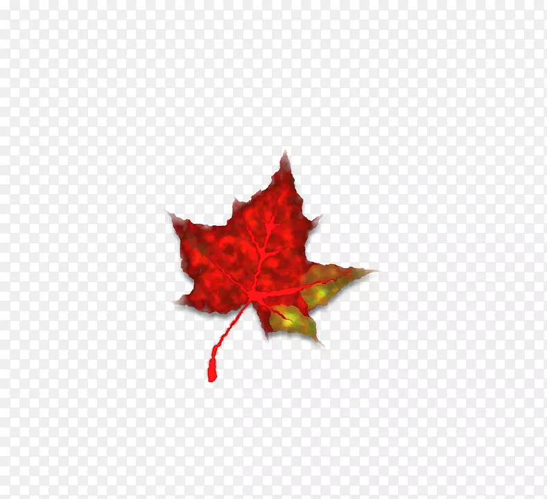 秋天的红色图标-秋叶季节风