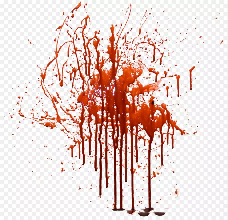 血液图像文件格式.血液