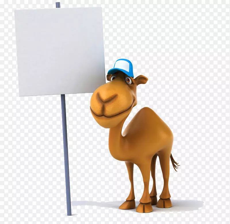 骆驼摄影图例-免费剪贴画-驴子