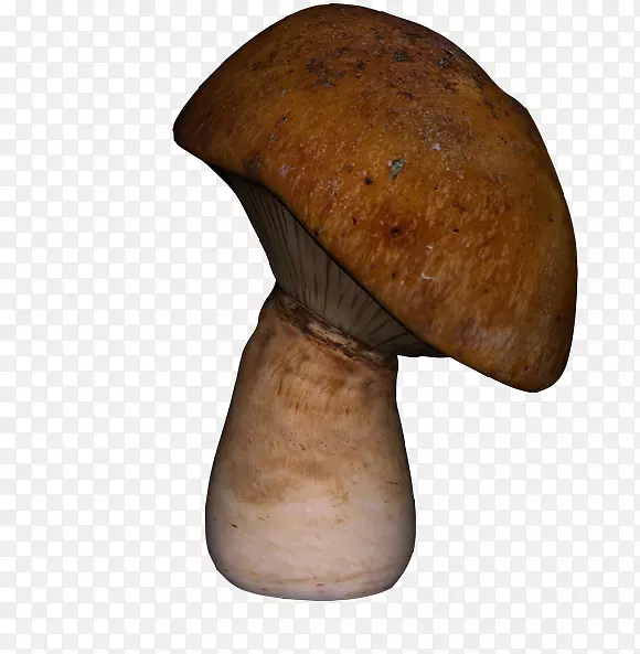 白灵菇图标-蘑菇图片