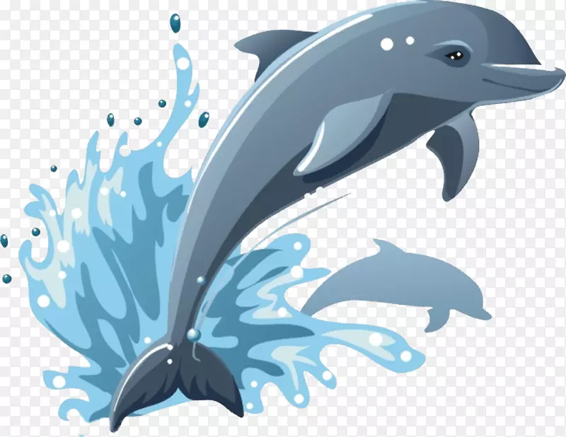普通宽吻海豚绘画剪辑艺术鲸鱼