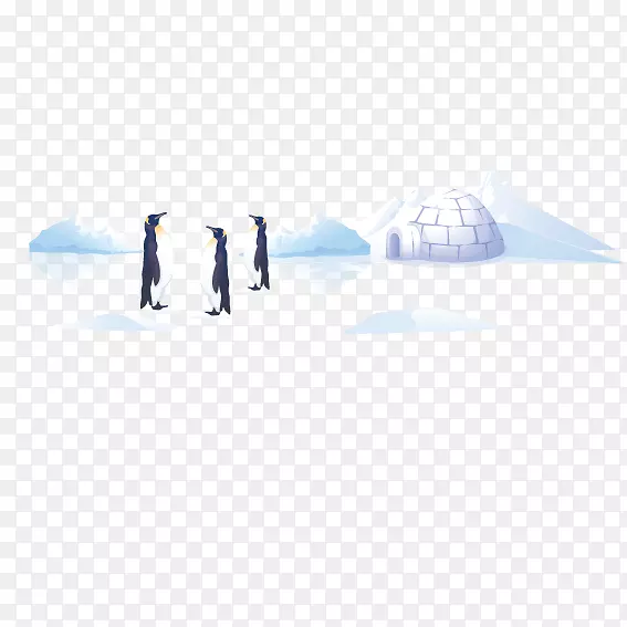 南极企鹅-南极企鹅