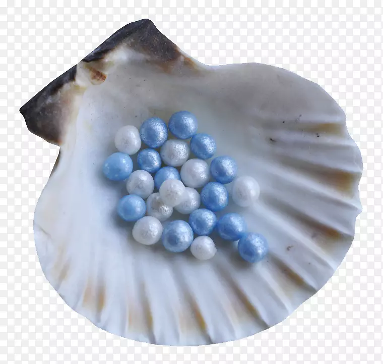 贝壳珍珠夹艺术-珍珠壳