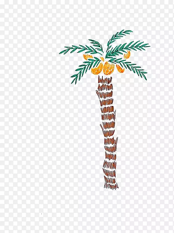 椰子树插图-卡通椰子树