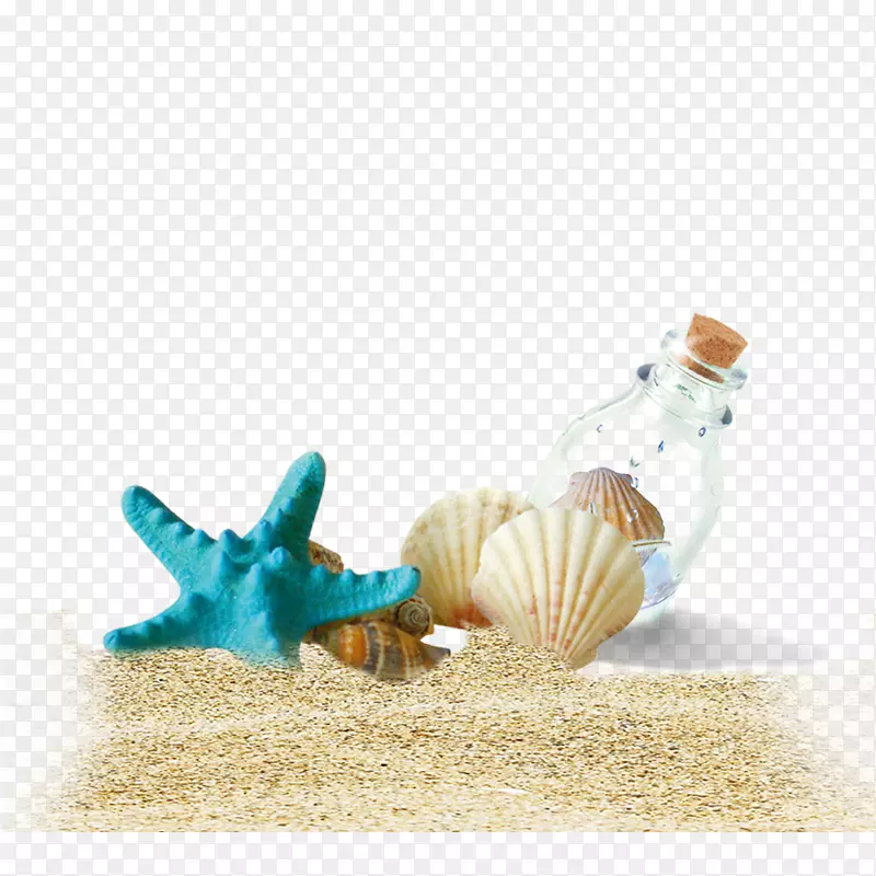 贝壳沙滩瓶-海螺壳