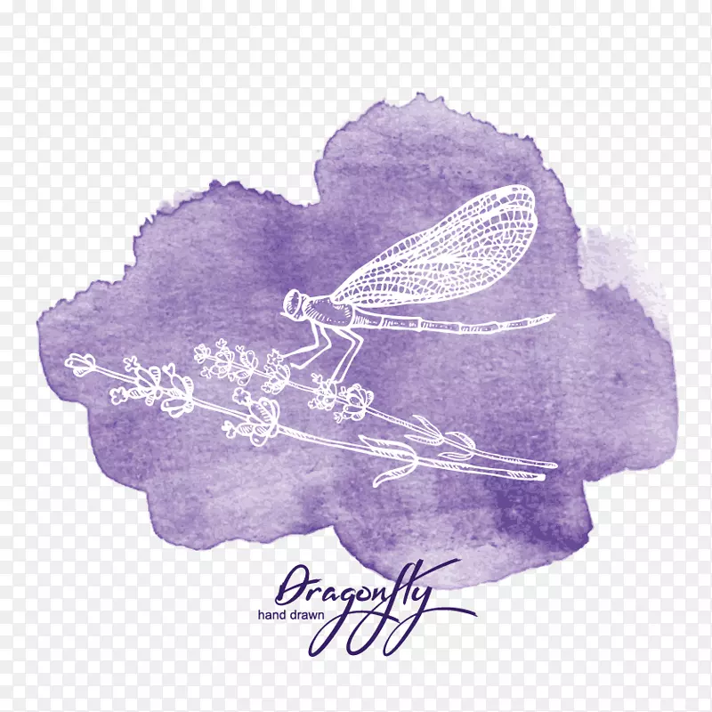 水彩画-蜻蜓水彩装饰