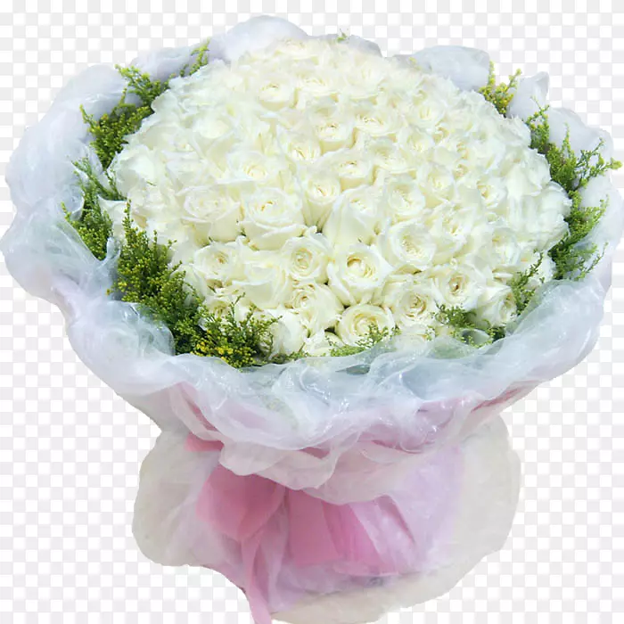 玫瑰xd 7阿尔巴花粉红白色礼物-爱白玫瑰图片材料