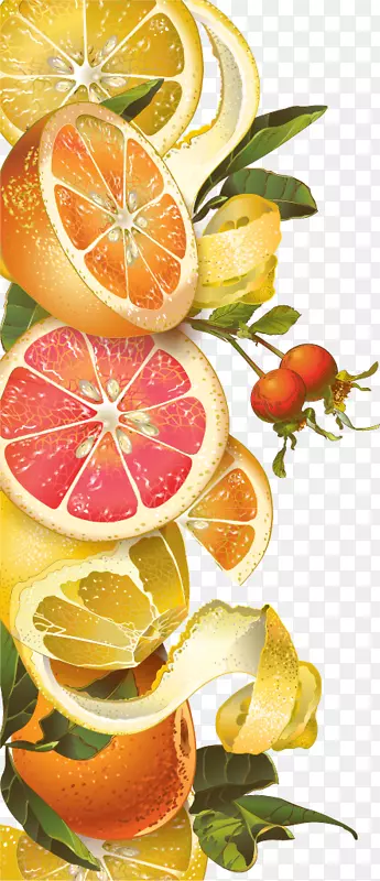 果汁茶柠檬葡萄柚浆果载体背景橙柠檬蜂蜜