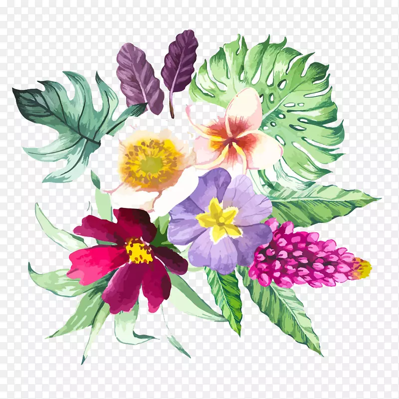 水彩：花卉水彩画插图-美丽的花卉水彩画