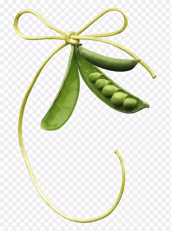 豌豆夹艺术-蝴蝶结豌豆材料自由拉